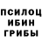 Конопля Bruce Banner Janina Vaiginiene